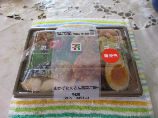 おかずたくさん高菜ご飯(1).JPG
