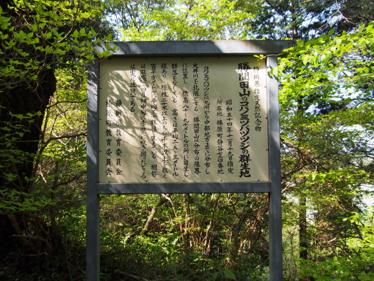 勝間田公園(5).JPG