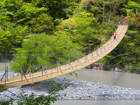 夢の吊り橋.JPG