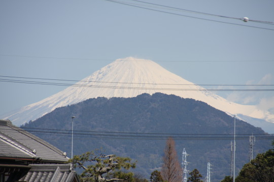 3月14日の富士山.JPG